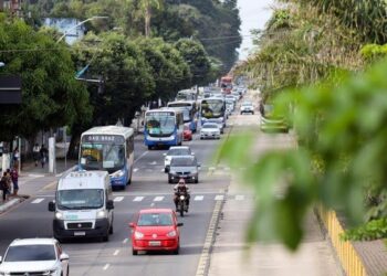 DPVAT: o que se sabe sobre a possível volta do seguro, e como ele deve funcionar