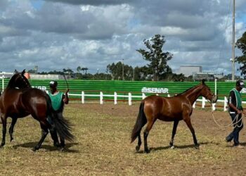 Parque de Exposições recebeu cerca de 40 mil pessoas para a Expo Portal
