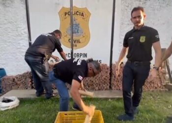 Espadas juninas clandestinas são apreendidas em Cruz das Almas