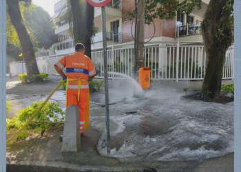 Após registro de 40 cães envenenados na Barra, Comlurb faz limpeza pesada de calçadas e canteiros; 6 animais morreram