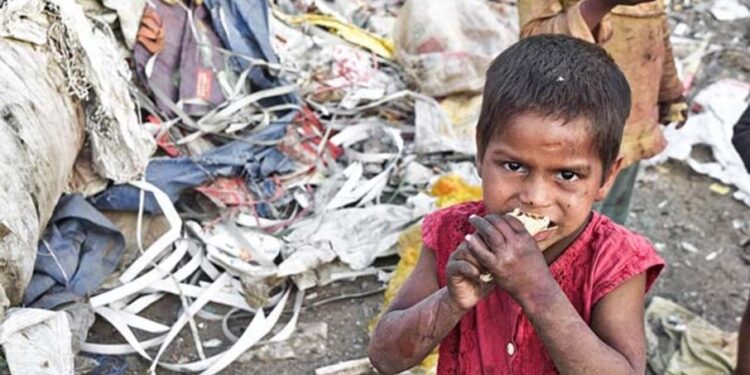 Fome cai no Brasil, mas ainda atinge 8,4 milhões de pessoas, diz relatório da ONU