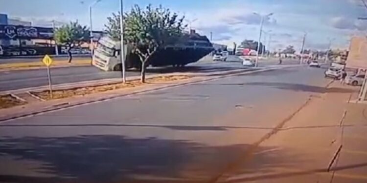 Caminhão que transportava bois tomba em rodovia na Bahia e por pouco não atinge outros veículos