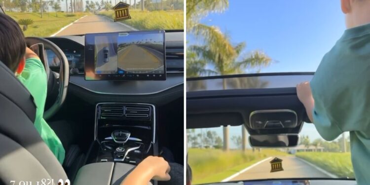 Detran-GO pede que polícia investigue imagens que mostram filho de 7 anos de Andressa Suita e Gusttavo Lima dirigindo carro com irmão ao lado