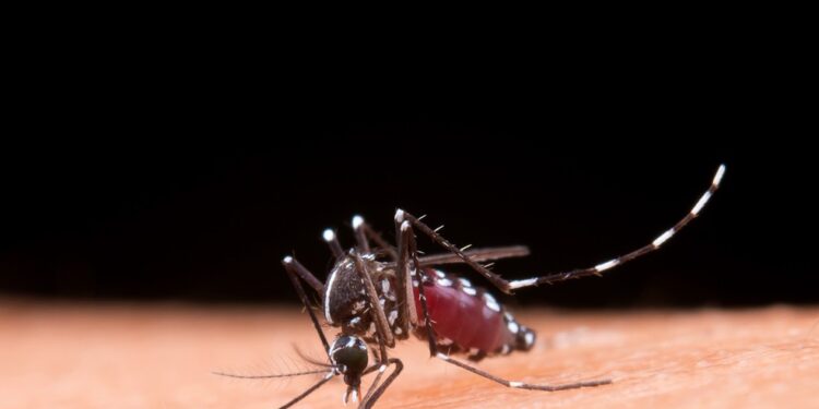 Mortes por dengue na Bahia chegam a 120; cai para 41 número de cidades em epidemia