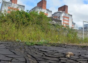 Estação de tratamento em estado de abandono se rompe e Embasa é notificada por crime ambiental