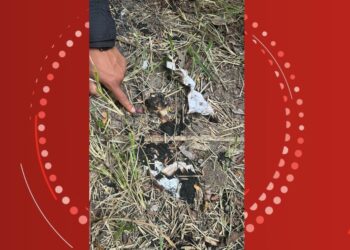 Terceiro suspeito de envolvimento no desaparecimento de turistas paulistas morre em confronto com policiais no extremo sul da BA