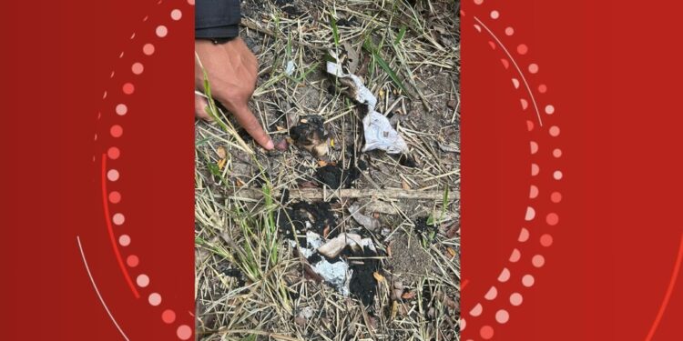 Terceiro suspeito de envolvimento no desaparecimento de turistas paulistas morre em confronto com policiais no extremo sul da BA