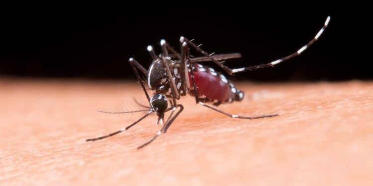 Mortes por dengue na Bahia chegam a 121; cai para 38 número de cidades em epidemia