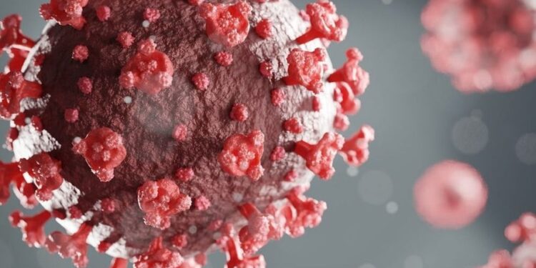 Covid-19 cresce e volta a preocupar no Brasil