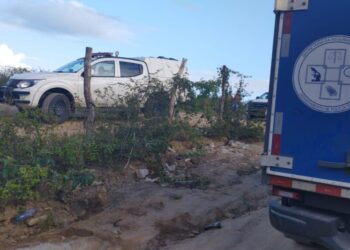 Polícia registra assassinatos no Jardim Cruzeiro e Papagaio