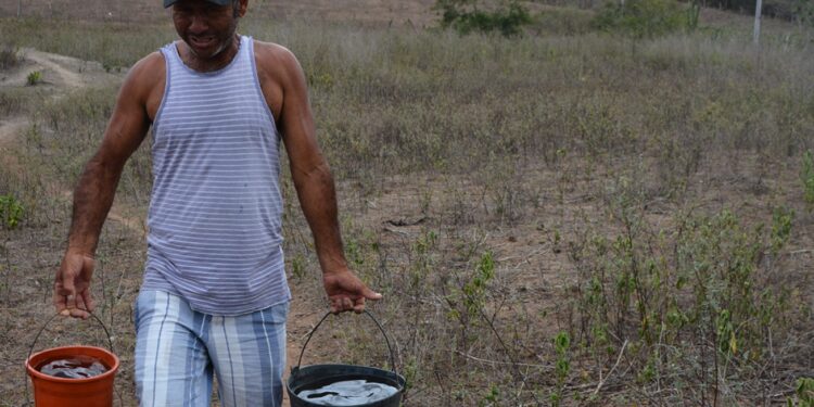 Município declara situação de emergência por estiagem