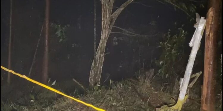 Saiba quem são as vítimas do avião de pequeno porte que caiu em São Paulo