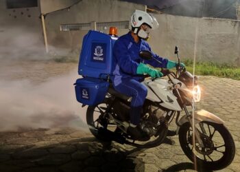 Feira de Santana registra redução de casos de dengue, mesmo com aumento expressivo na Bahia