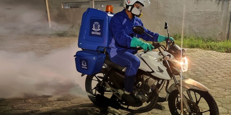 Feira de Santana registra redução de casos de dengue, mesmo com aumento expressivo na Bahia