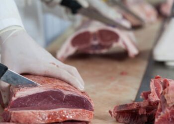 Carrefour se retrata após sugerir veto às carnes do Brasil e Mercosul