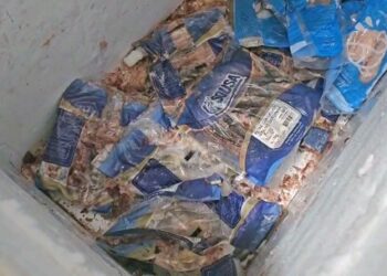 Polícia investiga destino final de 800 toneladas de carnes estragadas nas enchentes no RS que foram revendidas