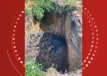 Gerente da Embasa é preso em flagrante por crime ambiental na Bahia e empresa deverá pagar R$ 318 mil de multa