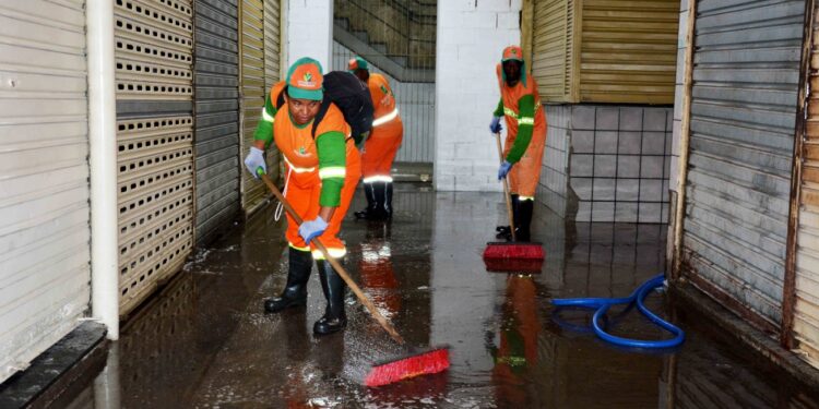 Mercados da carne e de cereais do Centro de Abastecimento passam por higienização