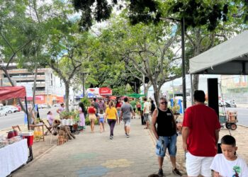 Feira na Avenida: tradição, variedade e atração para toda a família