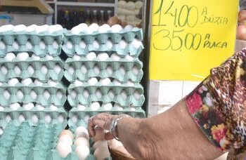 Aumento no preço dos ovos Impacta o orçamento dos brasileiros