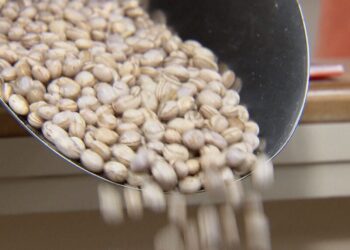 Feijão fica mais barato e alivia o bolso dos brasileiros