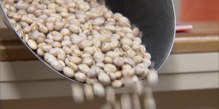 Feijão fica mais barato e alivia o bolso dos brasileiros