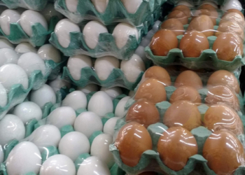 reço dos ovos sobe até 40% no atacado e preocupa supermercados