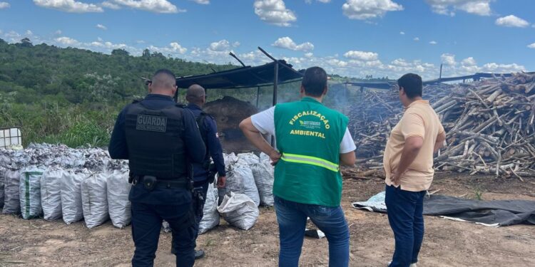 Prefeitura desmantela carvoaria clandestina na região do Pau Seco