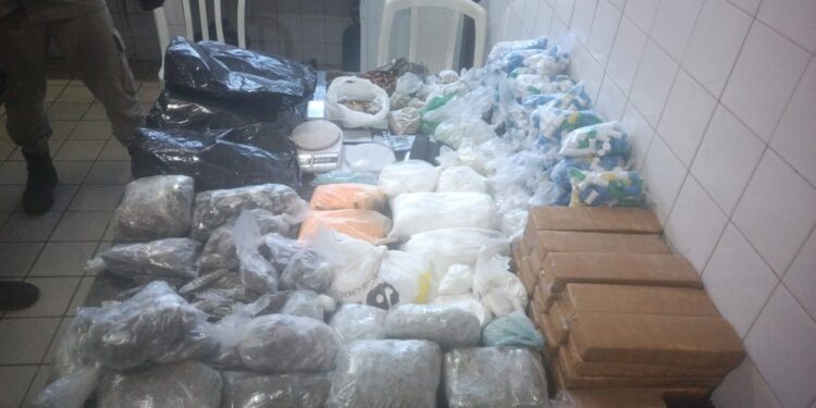 Ação da PM termina com 10 mil comprimidos de ecstasy, mais de dois mil pinos e 7 kg quilos de cocaína apreendidos em Salvador