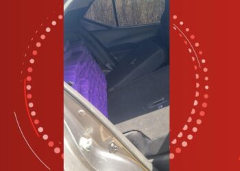 Polícia Militar apreende 370 kg de maconha em carro na Bahia