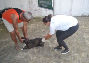 Vacinação de rotina: Prefeitura segue neste mês protegendo cães e gatos contra a raiva