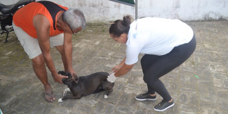 Vacinação de rotina: Prefeitura segue neste mês protegendo cães e gatos contra a raiva