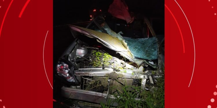 Médica morre após carro colidir com cavalo em rodovia na Bahia