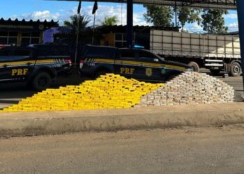 Cerca de 460 kg de cocaína são encontrados em caminhão durante abordagem na Bahia; motorista fugiu do veículo em movimento