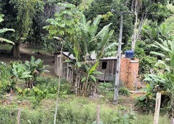 Jornadas exaustivas, alojamentos precários e restrição de liberdade: trabalhadores são resgatados em situação análoga à escravidão