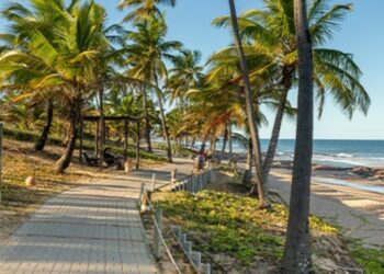 Criança de 8 anos morre afogada após entrar no mar com mãe e irmãos na Bahia