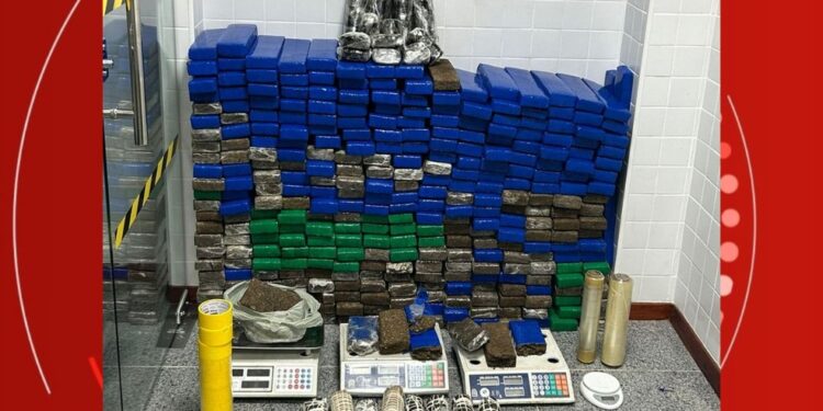 Mulher é presa com mais de 300 tabletes de maconha e explosivos em casa no centro de Feira de Santana