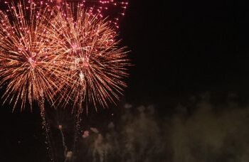 Fogos de artifício oferecem risco à saúde dos animais durante festejos juninos
