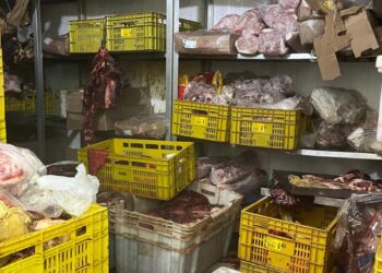 Vigilância Sanitária intensifica fiscalização de estabelecimentos alimentícios e criatórios irregulares de animais