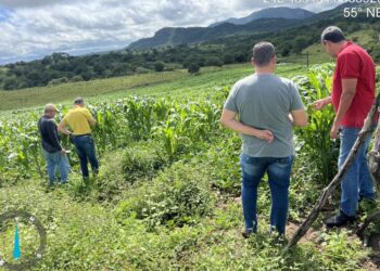 Fiscalização combate uso irregular de agrotóxicos com drones em propriedades rurais de Feira de Santana