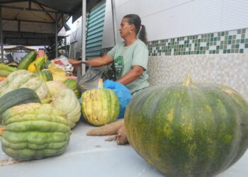 III Feira da Agricultura Familiar e Economia Solidária mostra força do homem do campo