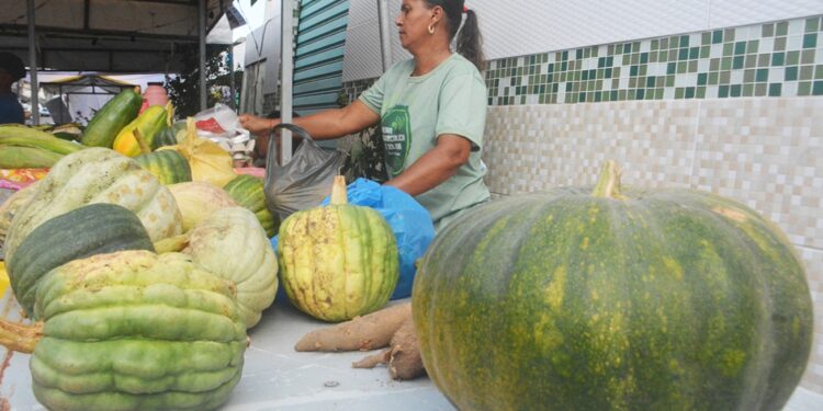 III Feira da Agricultura Familiar e Economia Solidária mostra força do homem do campo
