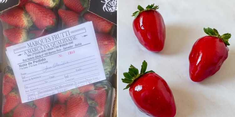 Após morango do amor viralizar nas redes sociais, preço da fruta aumenta em Salvador
