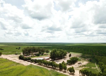Saiba qual foi e onde fica a fazenda baiana que acaba de ser vendida por R$ 141,4 milhões