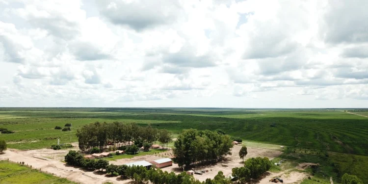 Saiba qual foi e onde fica a fazenda baiana que acaba de ser vendida por R$ 141,4 milhões