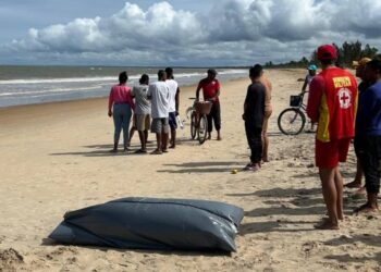 Pai e filho morrem afogados após mergulho em praia turística na BA