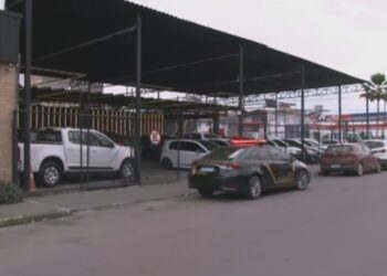 Sete pessoas são presas em operação na BA contra tráfico interestadual de drogas e arma; grupo movimentou mais de R$ 5 milhões