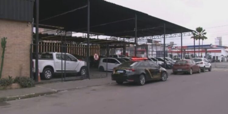 Sete pessoas são presas em operação na BA contra tráfico interestadual de drogas e arma; grupo movimentou mais de R$ 5 milhões