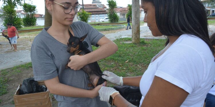 Vacinação contra a raiva começa em Humildes nesta quarta-feira (13)