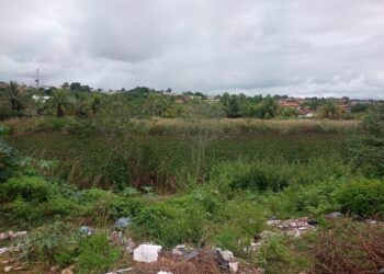 Secretaria de Meio Ambiente intensifica visitas para avaliar situação das lagoas de Feira